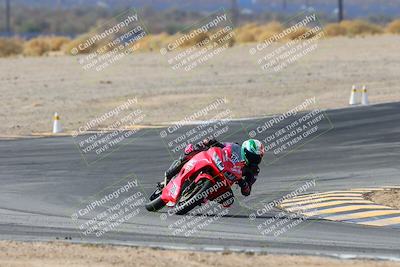 media/Feb-09-2025-CVMA (Sun) [[503986ac15]]/Race 1-Formula Twins-Formula 40 UL/